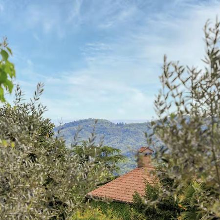 Elegante Appartamento Con Vista - Colli Euganei Teolo 外观 照片