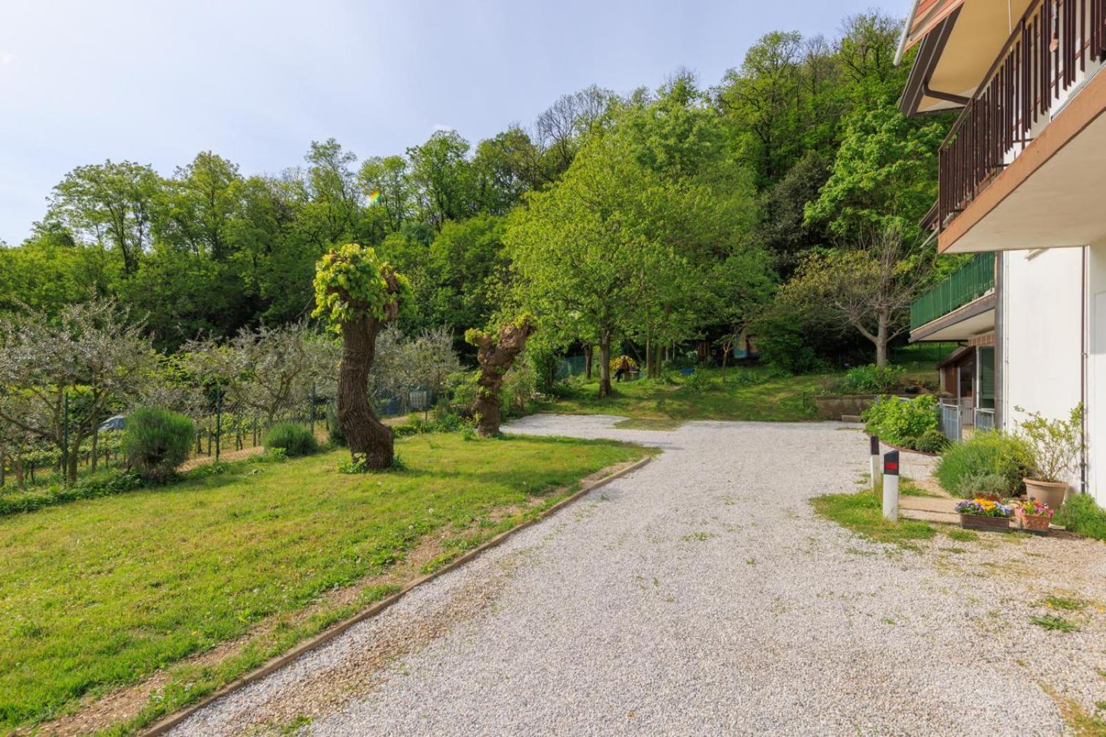 Elegante Appartamento Con Vista - Colli Euganei Teolo 外观 照片